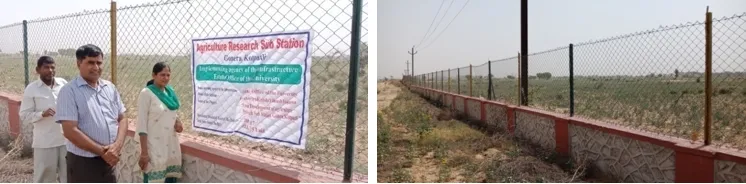 Boundary Wall