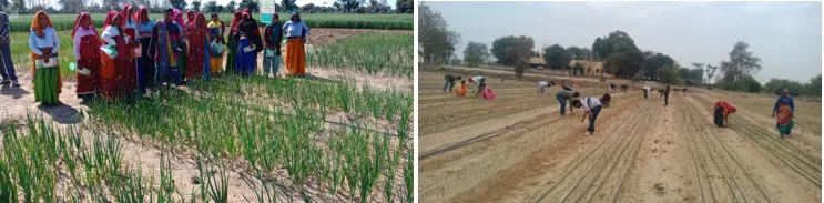 Micro Irrigation System