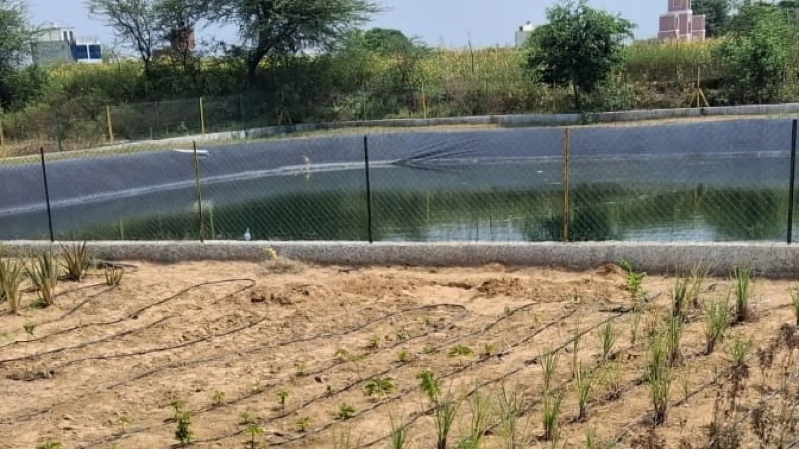 Farm Pond
