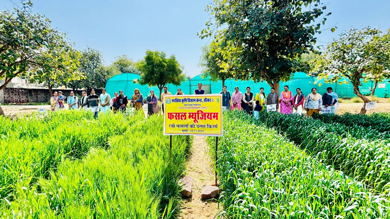 Crop cafeteria