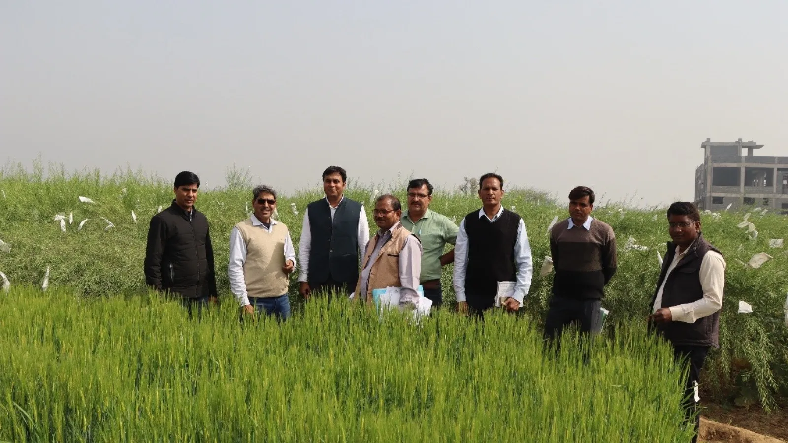 Visit of monitoring team of AICRP on Rapeseed-Mustard