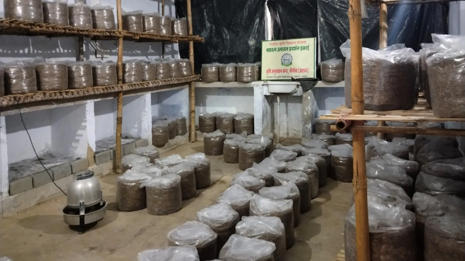 Mushroom production demo unit at ARS Navgaon