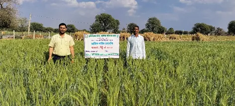 KVK Arnia Activity