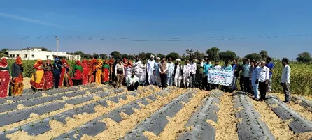KVK Arnia Activity