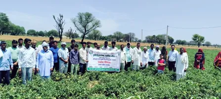 KVK Arnia Activity