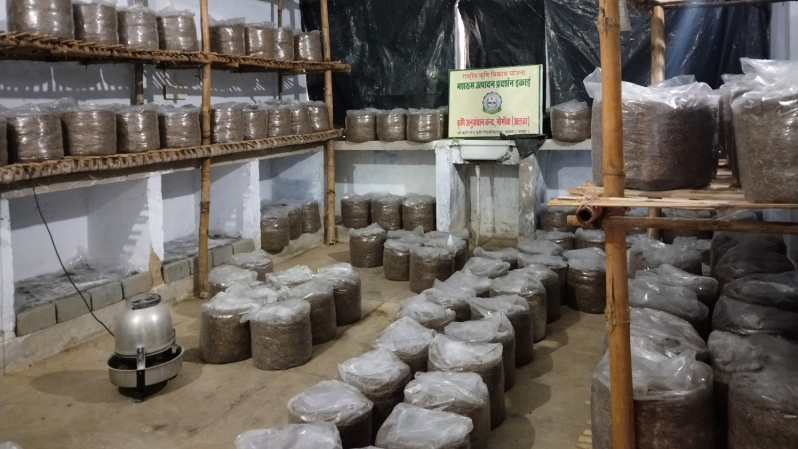 Mushroom production demo unit at ARS Navgaon