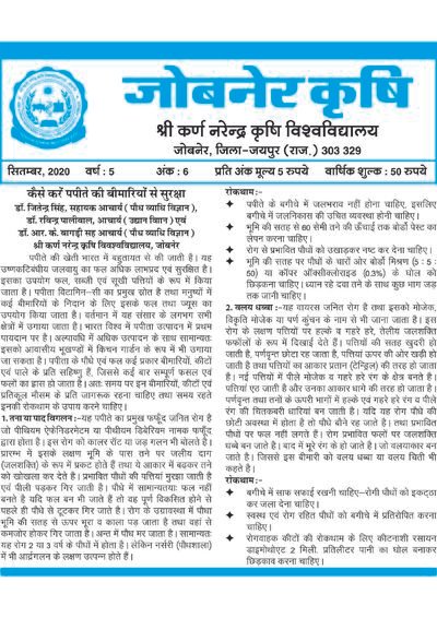 September 2020 Cover